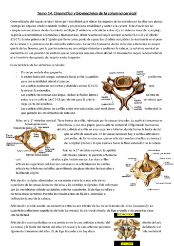 Tema-14.pdf