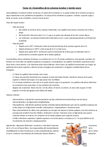 Tema-16.pdf