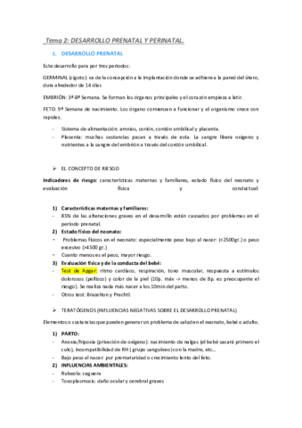TEMA-2.pdf