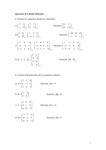 Ejercicios-Calculo-Matricial-1.pdf