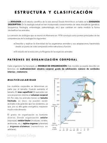 Estructura-y-Clasificacion-.pdf