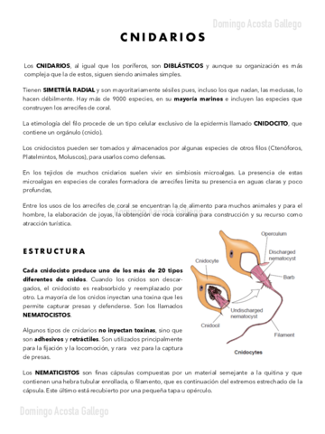 Cnidarios.pdf