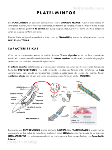 Platelmintos-Nemertinos-y-Rotiferos.pdf