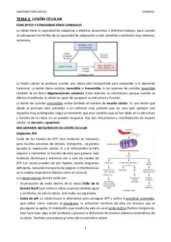 Tema-3.pdf