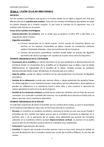 TEMA-4.pdf