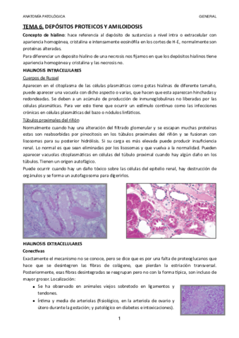 TEMA-6.pdf