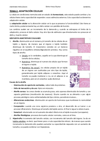 Tema-2.pdf