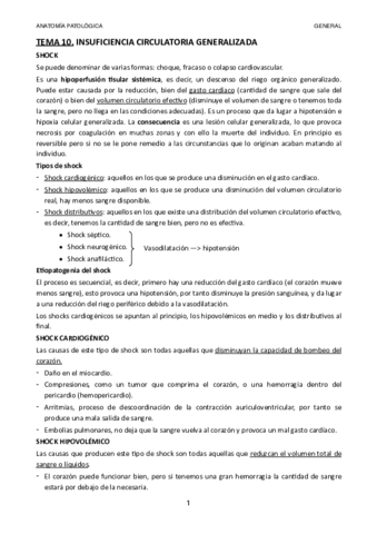 TEMA-10.pdf