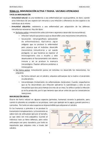 TEMA-13.pdf