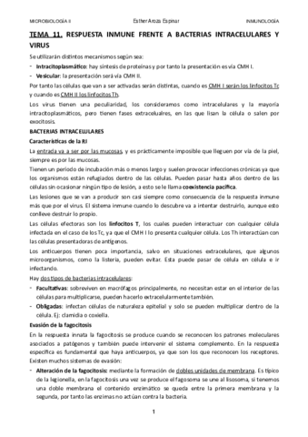 TEMA-11.pdf