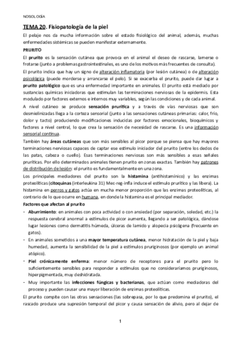 TEMA-20.pdf