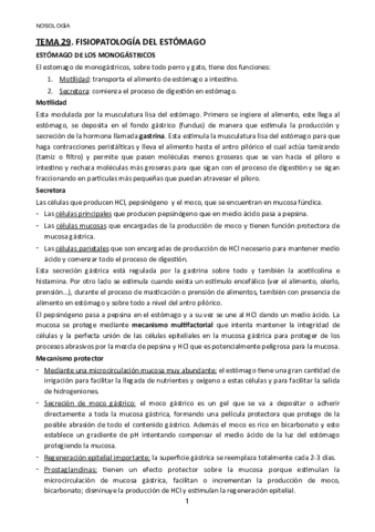 Tema-29.pdf