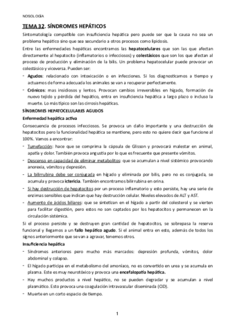Tema-32.pdf