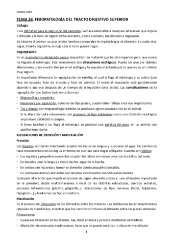TEMA-28.pdf