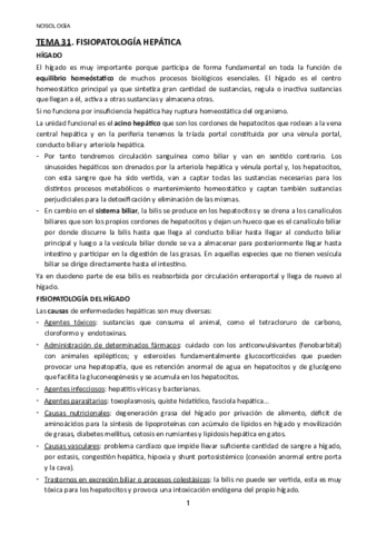 TEMA-31.pdf