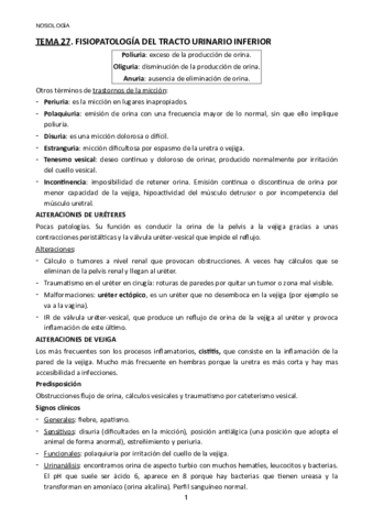 TEMA-27.pdf