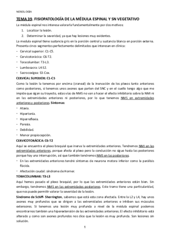 TEMA-39.pdf