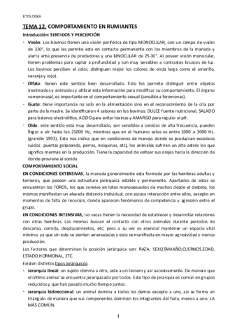 TEMA-12.pdf