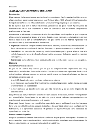 TEMA-16.pdf