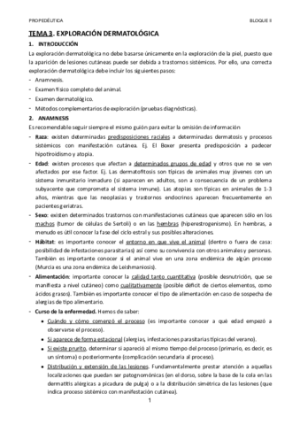TEMA-3.pdf