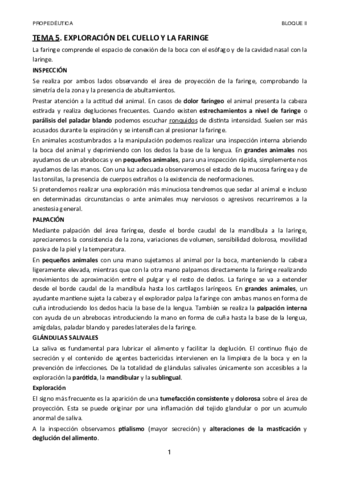 TEMA-5.pdf