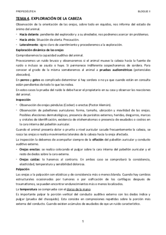 TEMA-4.pdf