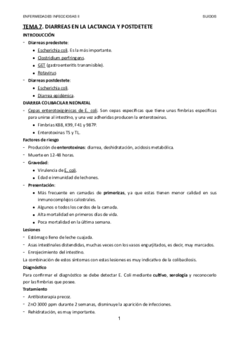 TEMA-7.pdf