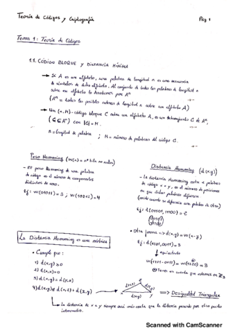 Apuntes Tema 1- Teoría de Códigos.pdf