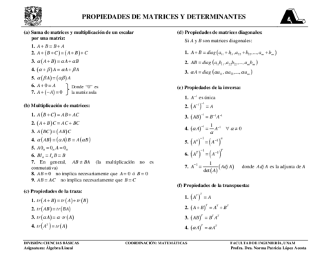 Propiedades-de-las-matrices-y-determinantes.pdf