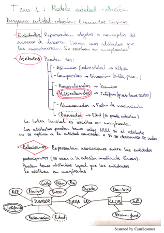 Resumen-Completo-Entidad-Relacion.pdf