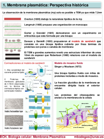 Tema-5-8-Membrana-Plasmatica-Alumnos.pdf