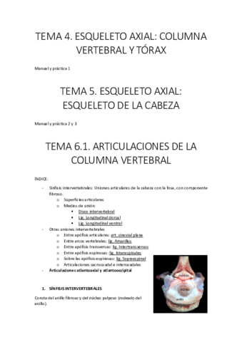 TEMA-4-5-Y-6-convertido.pdf