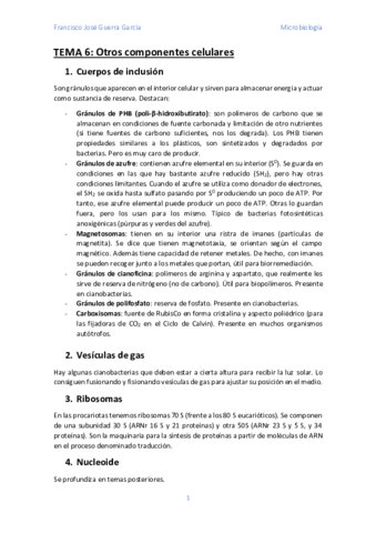 Tema-6.pdf