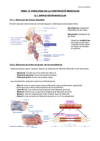 Apunts-Fisiologia-i-Fisiopatologia-I-Tema-12.pdf