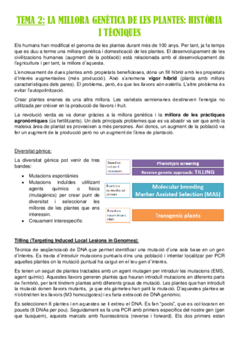 TEMA-2.pdf
