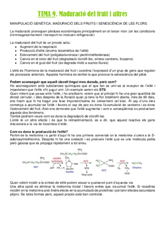 TEMA-9.pdf
