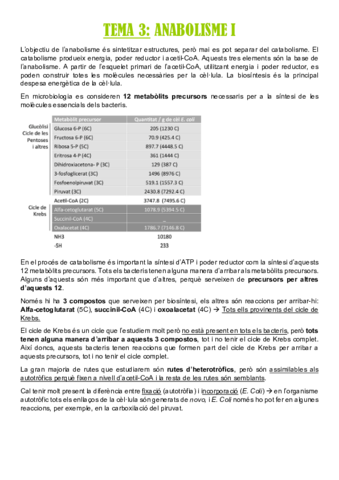 TEMA-3.pdf