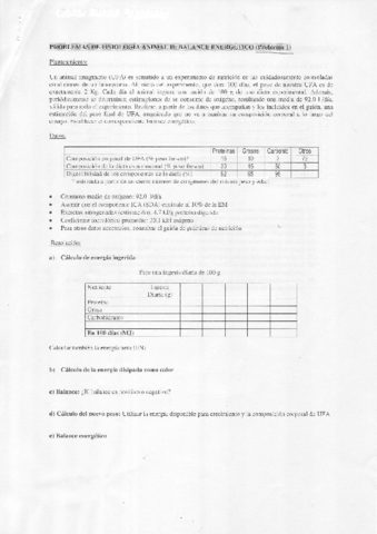 Problemas de Practicas Resueltos.PDF