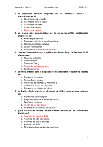 AP-Final-Enero-Resuelto.pdf