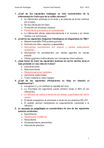 AP-Final-Febrero.pdf