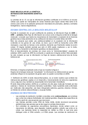 TEMA-1.pdf