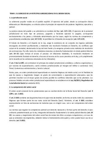 Proceso-ordinario-Temas-1-12.pdf