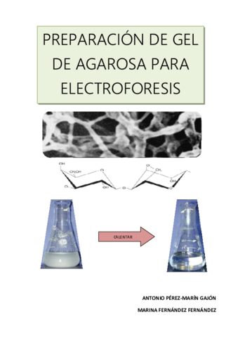 PRACTICA-GEL-DE-AGAROSA.pdf
