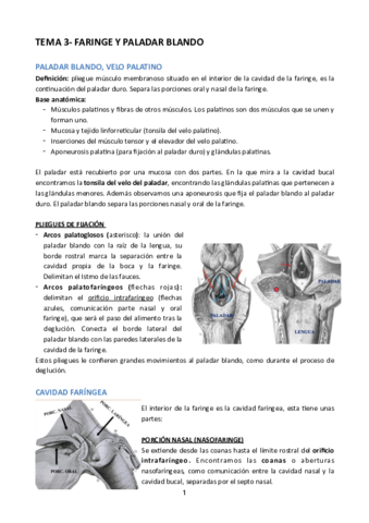 TEMA-3-CAVIDAD-FARINGEA.pdf