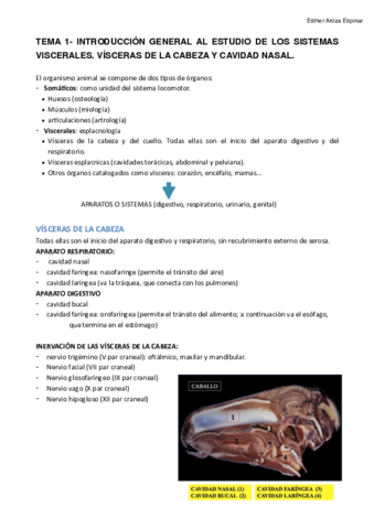 TEMA-1-CAVIDAD-NASAL.pdf