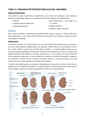 TEMA-13.pdf