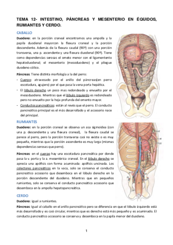 TEMA-12.pdf