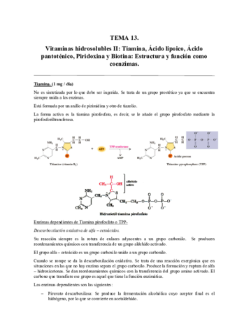 Tema 13.pdf