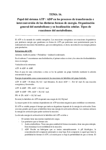 Tema 16.pdf