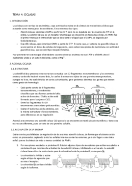 Tema 4- Ciclasas.pdf